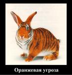 ������������� �����������