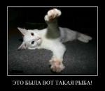 ������������� �����������