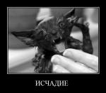 ������������� �����������