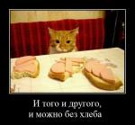 ������������� �����������