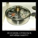 ������������� �����������