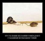 ������������� �����������