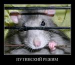 ������������� �����������