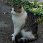 ������������� �����������