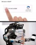 ������������� �����������