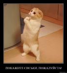 ������������� �����������