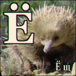 ������������� �����������