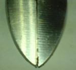 ������������� �����������